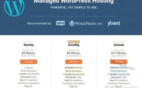 Shopify建站费用详解，助您轻松开启电商之旅