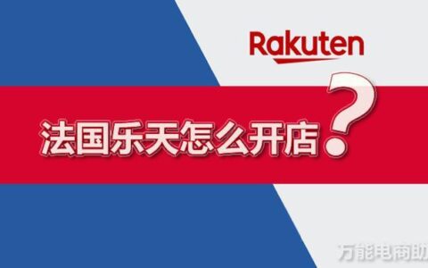 法国乐天入驻要求及流程