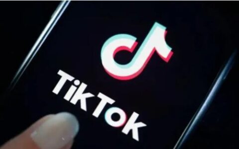 搬运TikTok会被国内抓吗？