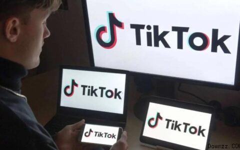 海外TikTok能赚钱吗？8种变现方式详解