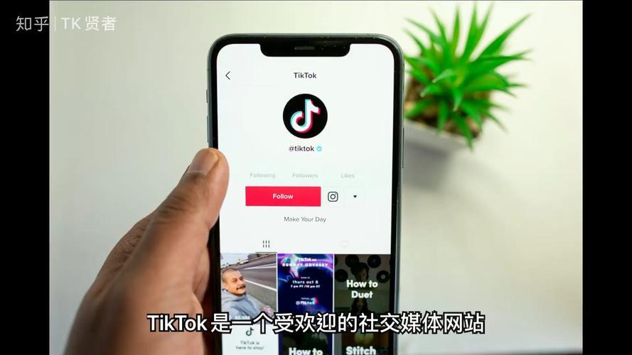 tiktok没有网络连接怎么解决？教你6个方法