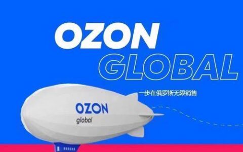 Ozon平台什么类别比较好卖？