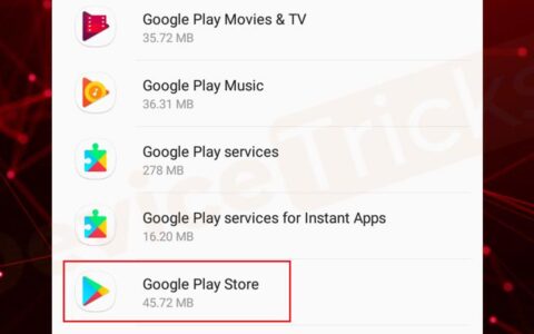 Google Play可以删除吗？