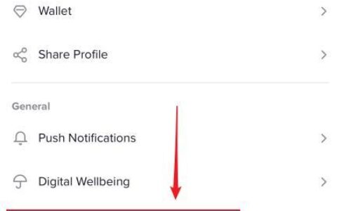 抖音国际版在中国怎么用？