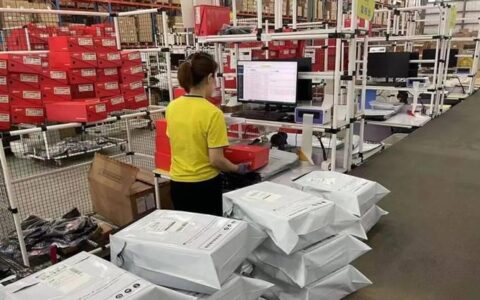 拼多多海外版Temu：用“工厂价”征服全球市场