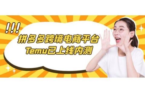 拼多多跨境电商平台Temu官网：0元入驻，0佣金，助力中国制造出海
