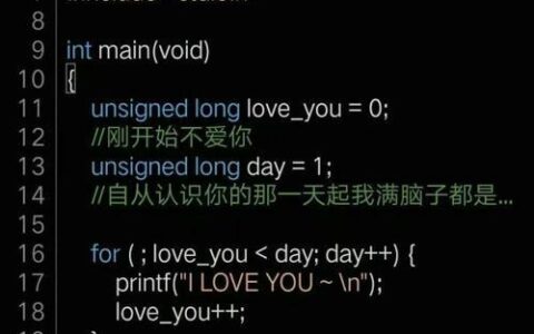 代码是什么意思？