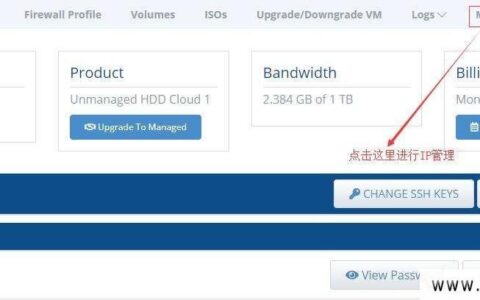 国外VPS网站加速，超级VPS管理器助您轻松搞定
