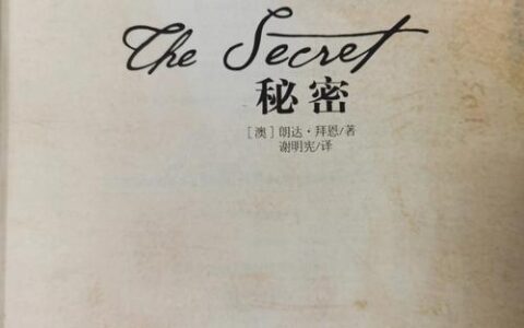 畅销书的秘密：如何打造一本bestseller