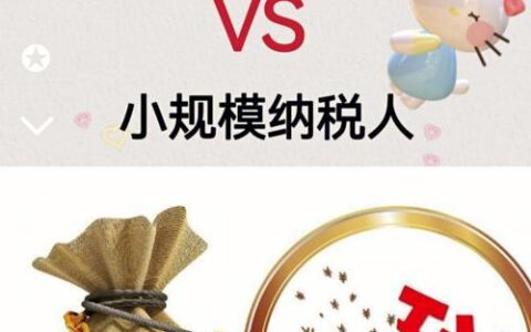 小规模和一般纳税人的区别是什么？