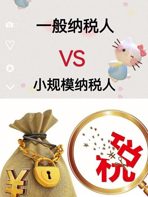 小规模和一般纳税人的区别是什么？