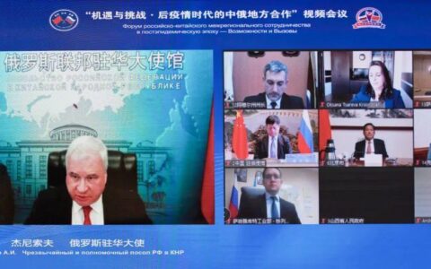 俄罗斯引擎搜索进入中国市场：机遇与挑战