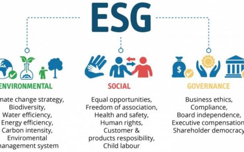 ESG具体指什么？