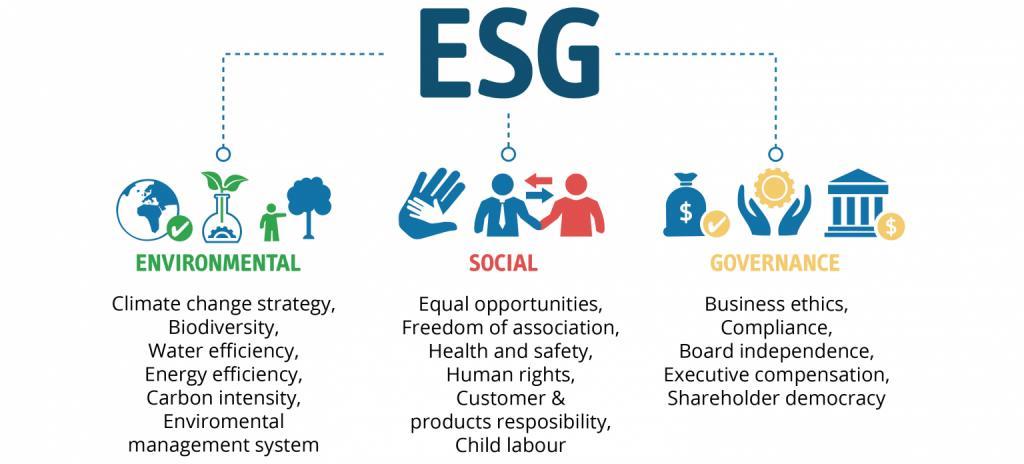 ESG具体指什么？