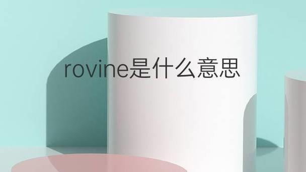 vine什么意思？含义、用法和例句解析