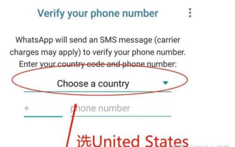 2023最新海外版tiktok注册教程