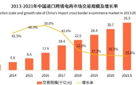 跨境电商成功案例分析：如何在海外市场&ldquo;出海&rdquo;