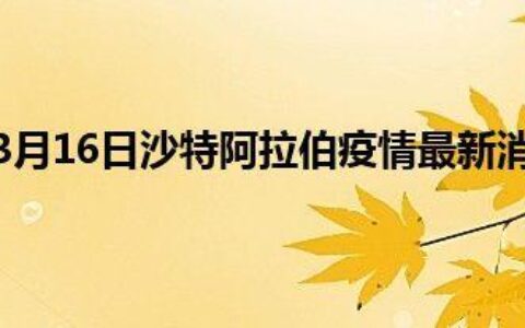 沙特阿拉伯疫情最新情况：累计确诊超78.7万例，死亡9100余例