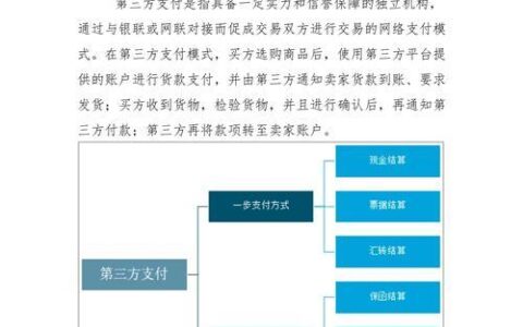 第三方支付公司：发展现状及未来趋势