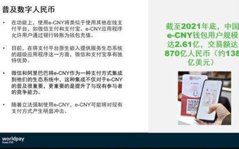 Worldpay全球支付解决方案，助力企业拓展全球市场