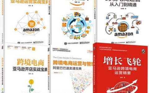 阿里巴巴国际站运营：从入门到精通
