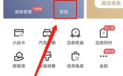 白条是什么？如何使用白条？